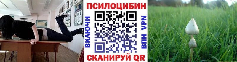 Купить  Западная Двина  Галлюциногенные грибы мицелий 